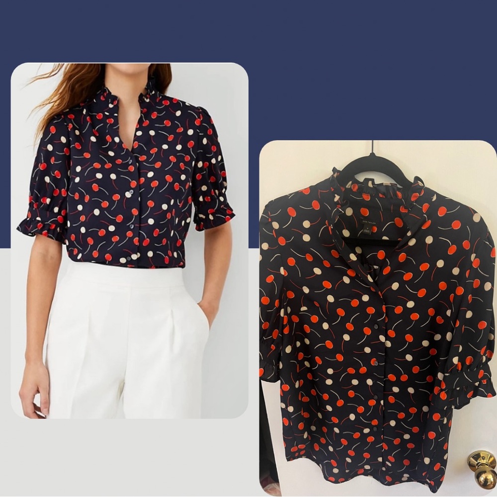 Ann Taylor Cherry Top